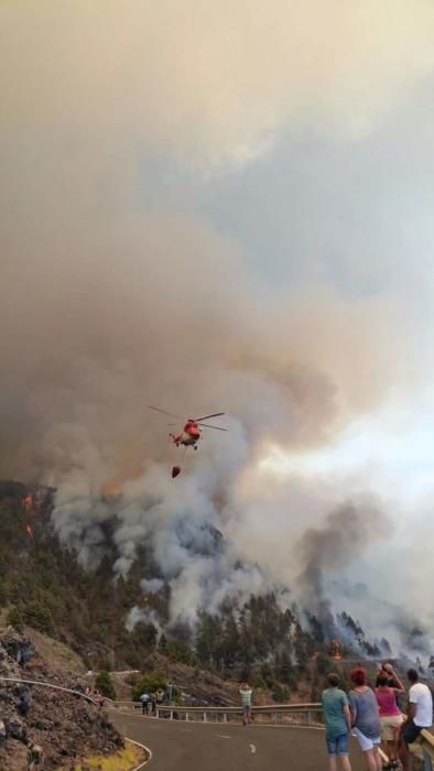 Incendio forestal en la zona de Montaña de Jedey