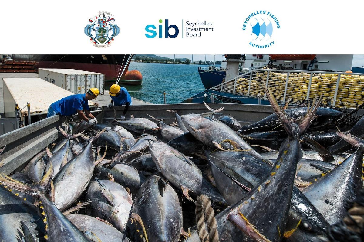 Descarga de atunes en Port Victoria, en las Seychelles