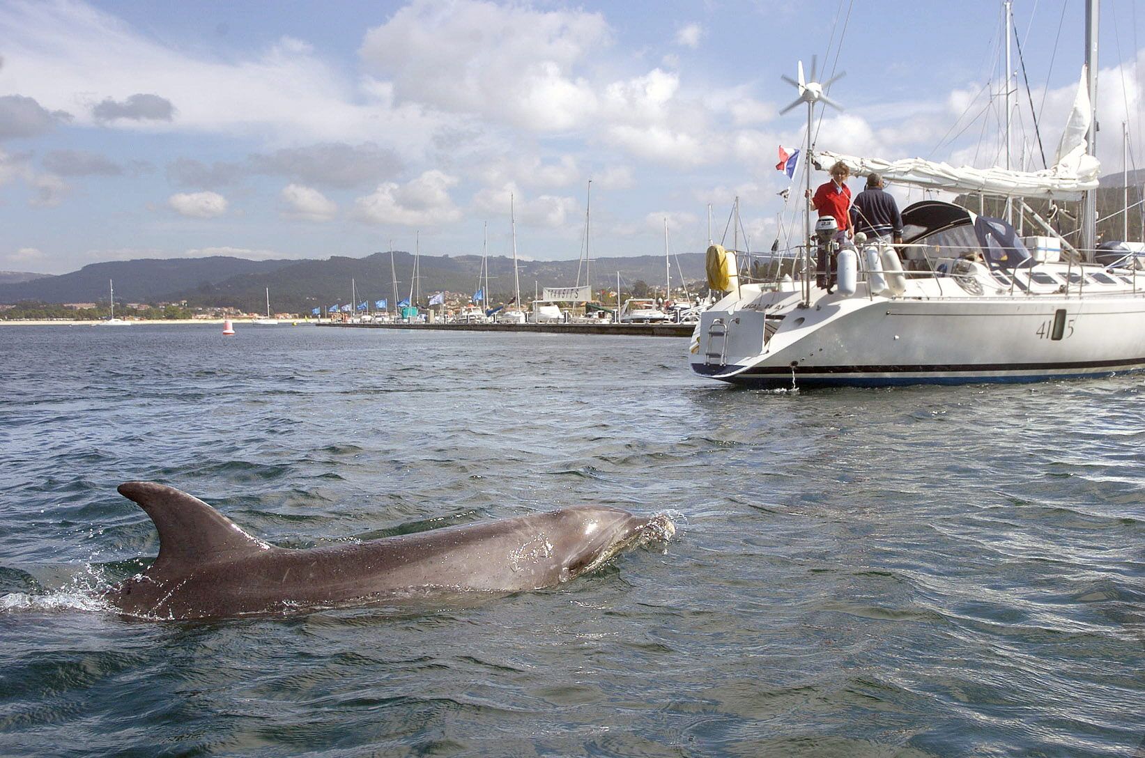 Recuerdos del delfín Gaspar, el amigo que necesita Manoliño