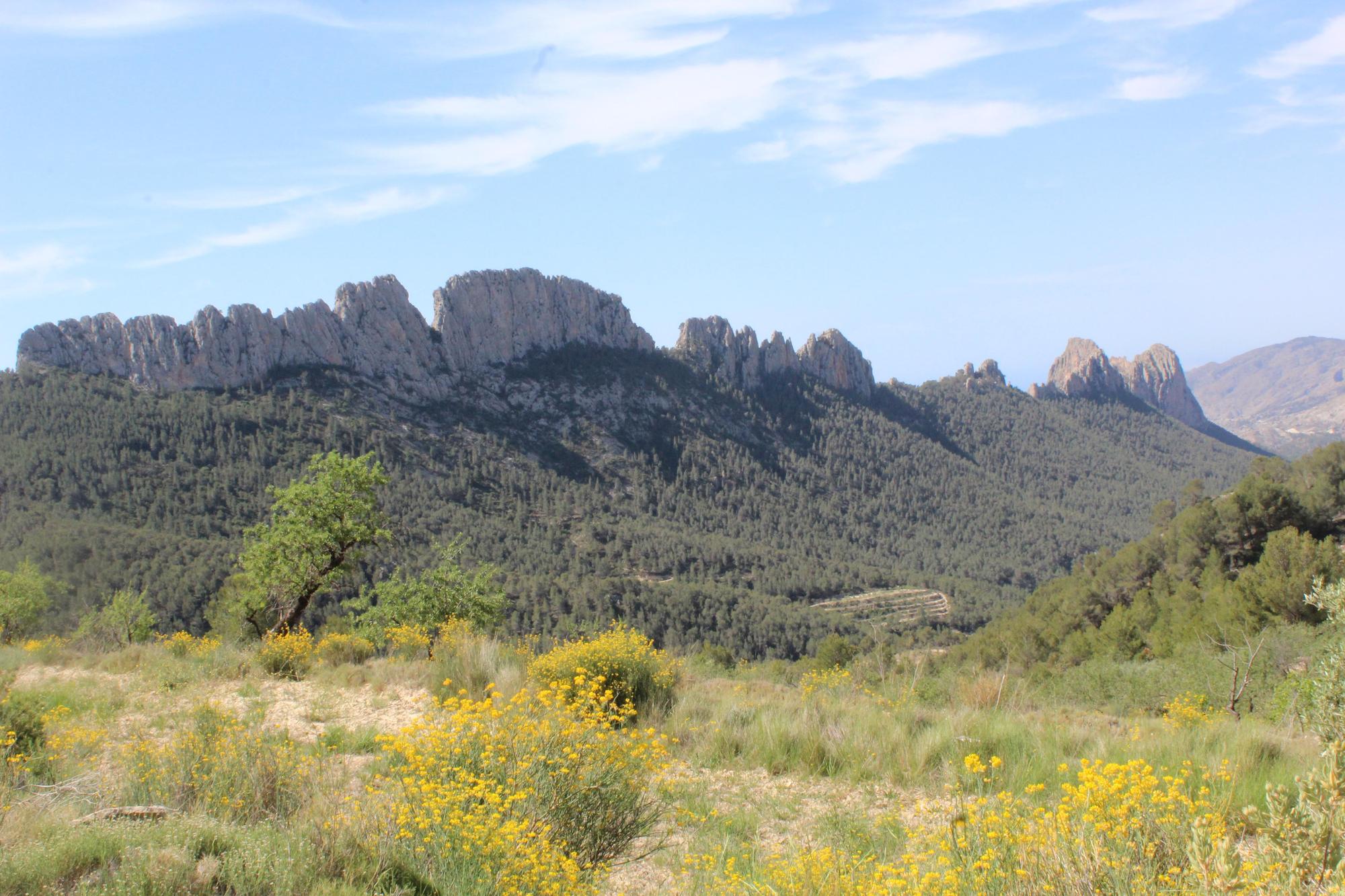 Los destinos favoritos de los valencianos que han pedido el Bono Viaje