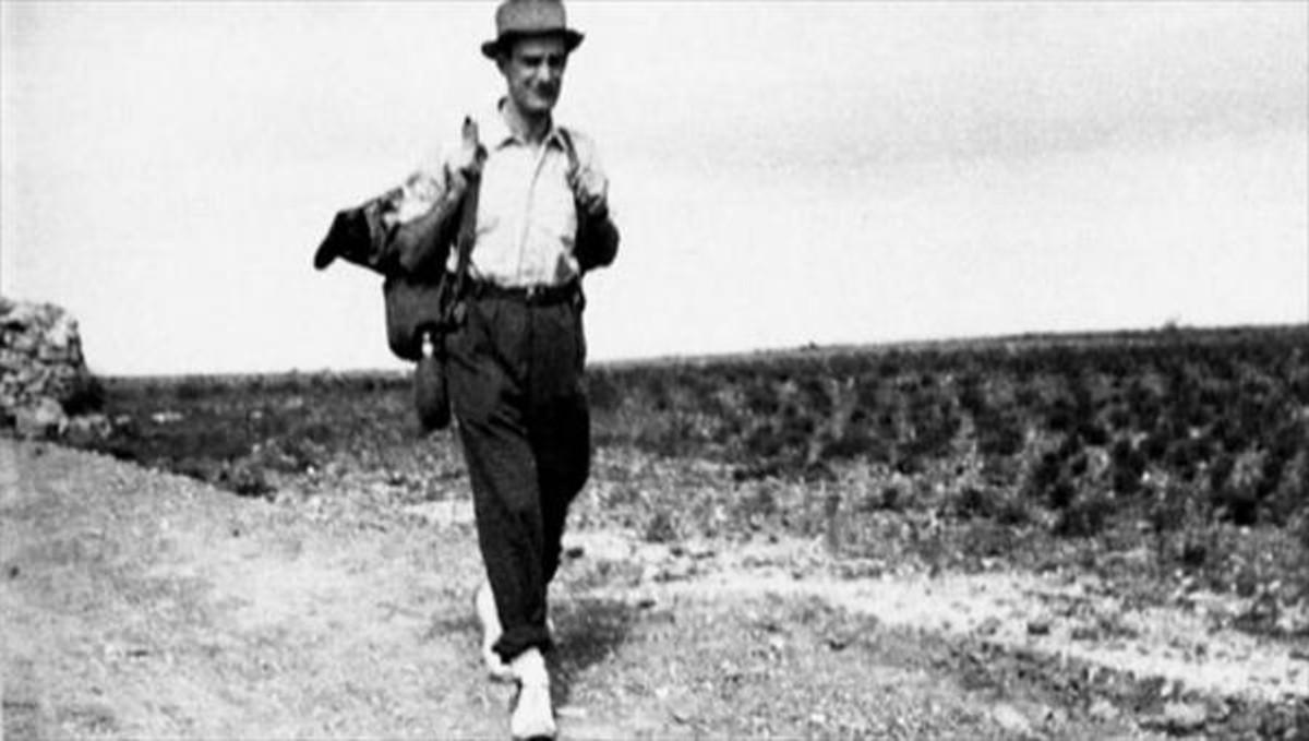 Camilo José Cela: la mirada del lobo