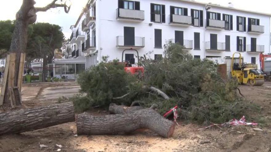 La ventada deixa arbres tombats, destrosses a mobiliari i carrers tallats a Palafrugell i Palamós