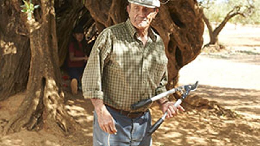 El Olivo