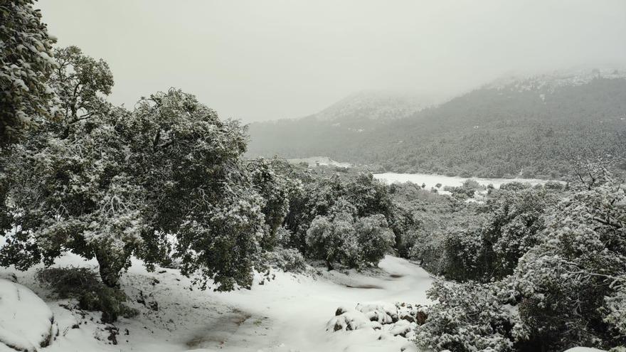 La nieve sorprende en Ronda y en otros puntos de la provincia