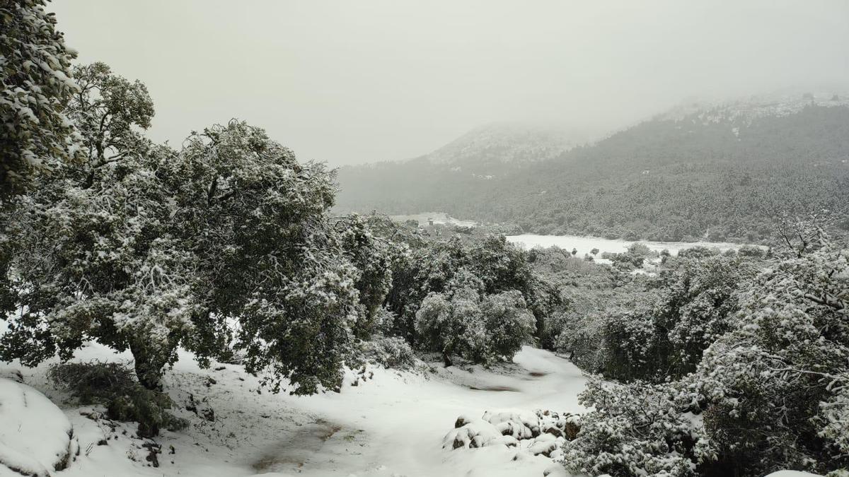 La nieve ha sorprendido en algunos puntos de Málaga