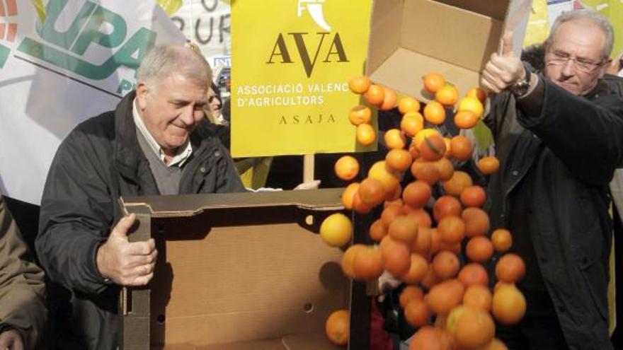 Centenares de agricultores se han concentrado hoy ante los supermercados de las cadenas alemanas Aldi y Lidl en Alfafar