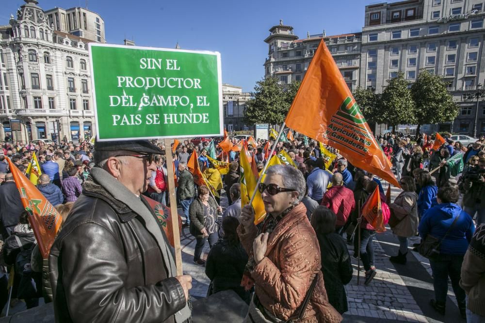 El campo asturiano llena Oviedo con su clamor de cencerros