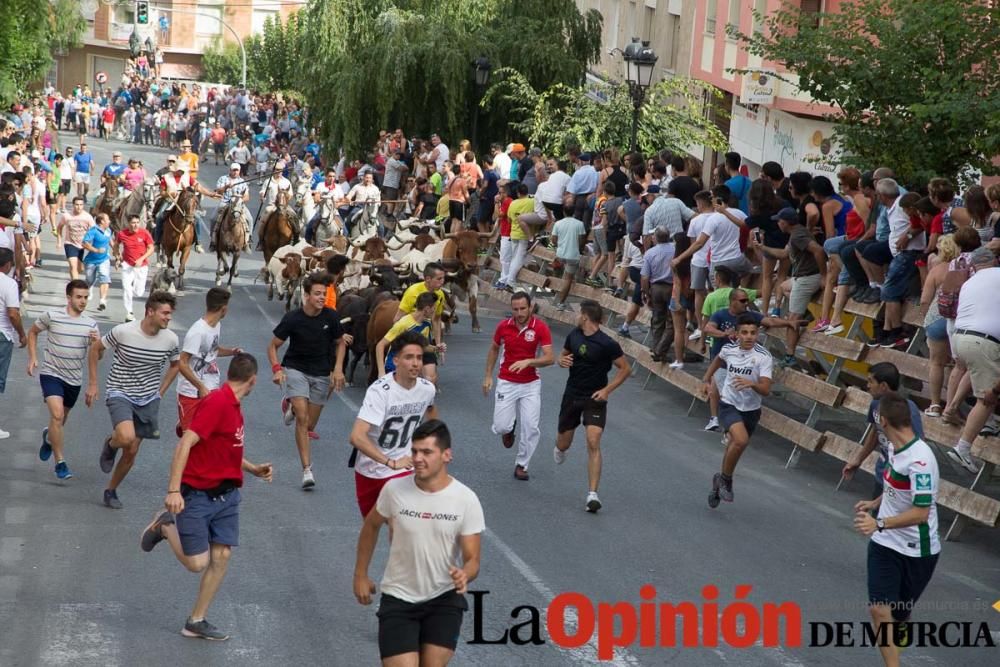 Séptimo encierro en Moratalla