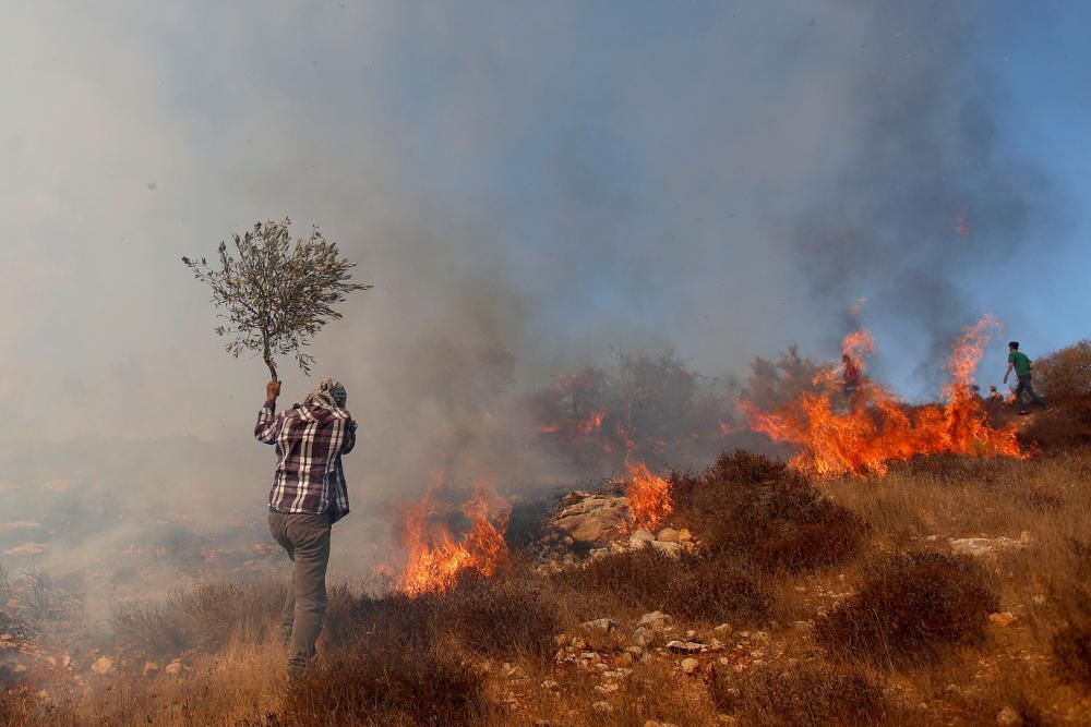 Palestinians protest against Jewish settlements ...