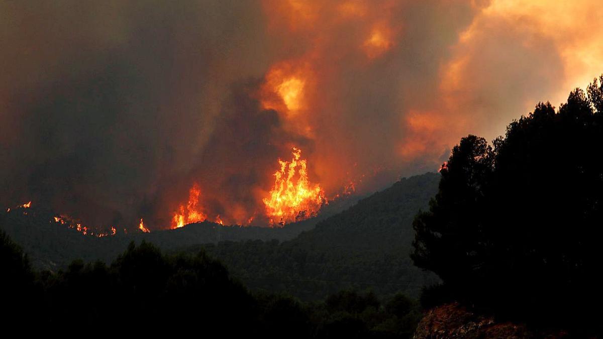 Incendi a Miralles el juliol passat que es va originar a Santa Coloma de Queralt  | ARXIU/SUSANNA SÁEZ/EFE