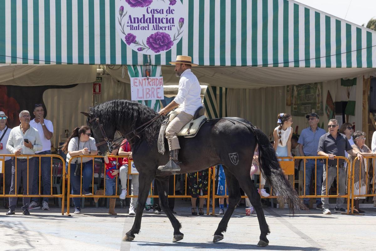 Desfile de carrozas y caballistas de la Feria de Mayo 2026 de Torrevieja este domingo