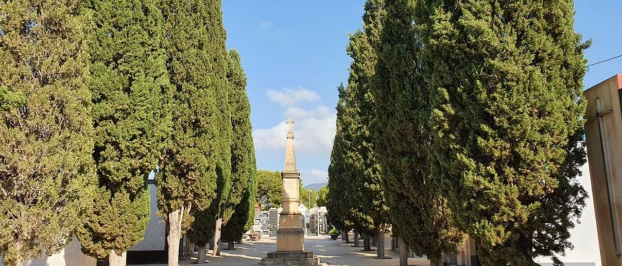 Imagen del cementerio crevillentino. | INFORMACIÓN