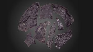 Un molde fósil en forma de daga es el ejemplo de piel momificada más antiguo jamás encontrado. La piel pertenece a un vertebrado temprano de cuatro patas llamado amniote. El color oscuro proviene del teñido producido por el petróleo y el alquitrán que se filtraron a través de los sedimentos.