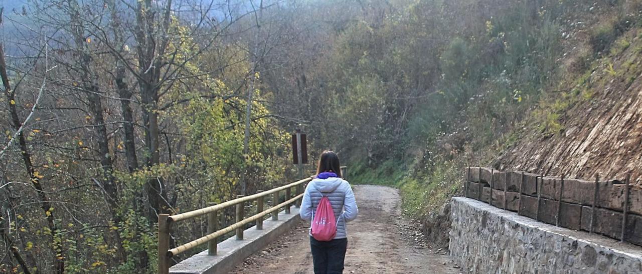 Una visitante, en una de las áreas del tramo quirosano de la Senda del Oso en las que se ha actuado. | R. F. Osorio