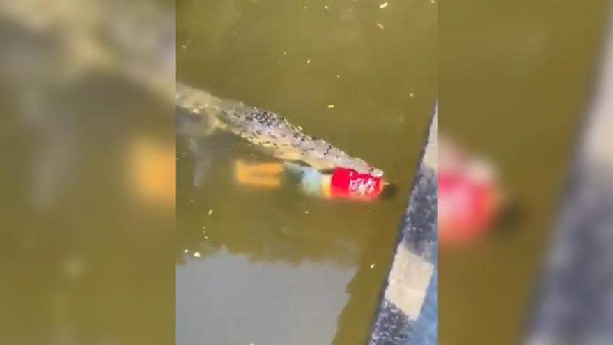 Muere un futbolista atacado por un cocodrilo en un río