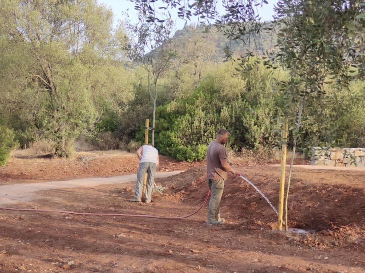 Labores de riego realizadas en el parque de El Patriarca