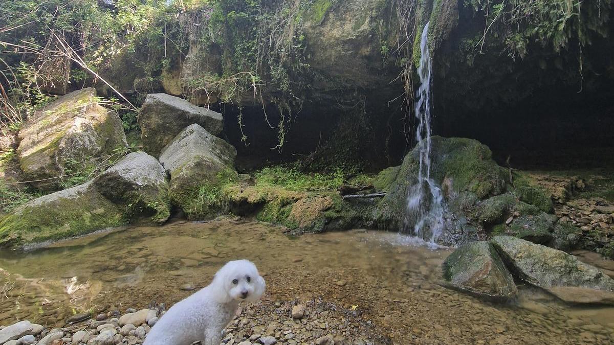 Natura refrescant a l’Espunyola