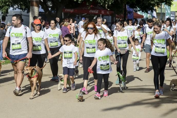 16/12/2018 LAS PALMAS DE GRAN CANARIA. Carrera ...