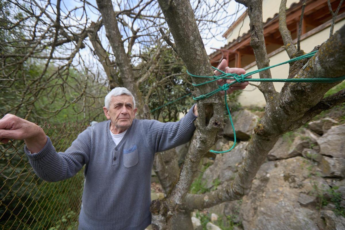 Les fotos dels desperfectes en una casa per les obres de la variant d'Anglès