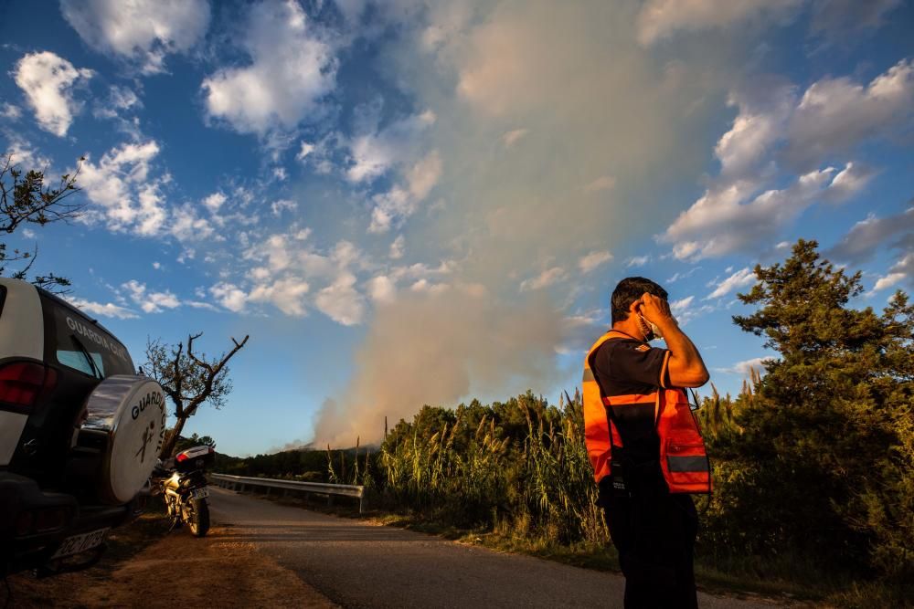 Incendio forestal en Ibiza