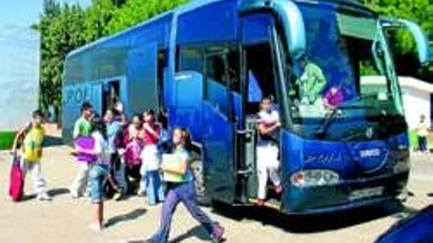 Las ayudas al transporte escolar oscilarán entre 280 y 930 euros