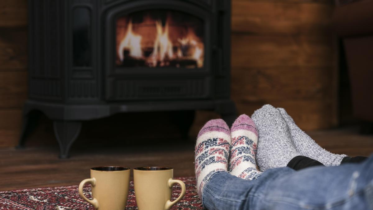 Estufa de pellets | Una opción no contaminante y económica para calentar tu hogar