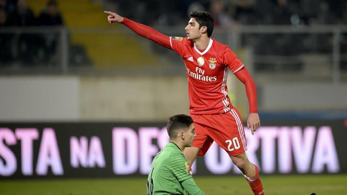 Gonçalo Guedes reportará al Benfica un beneficio de 30 millones de euros