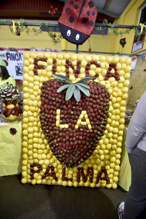 Feria de la fresa de Valsequillo, 2017