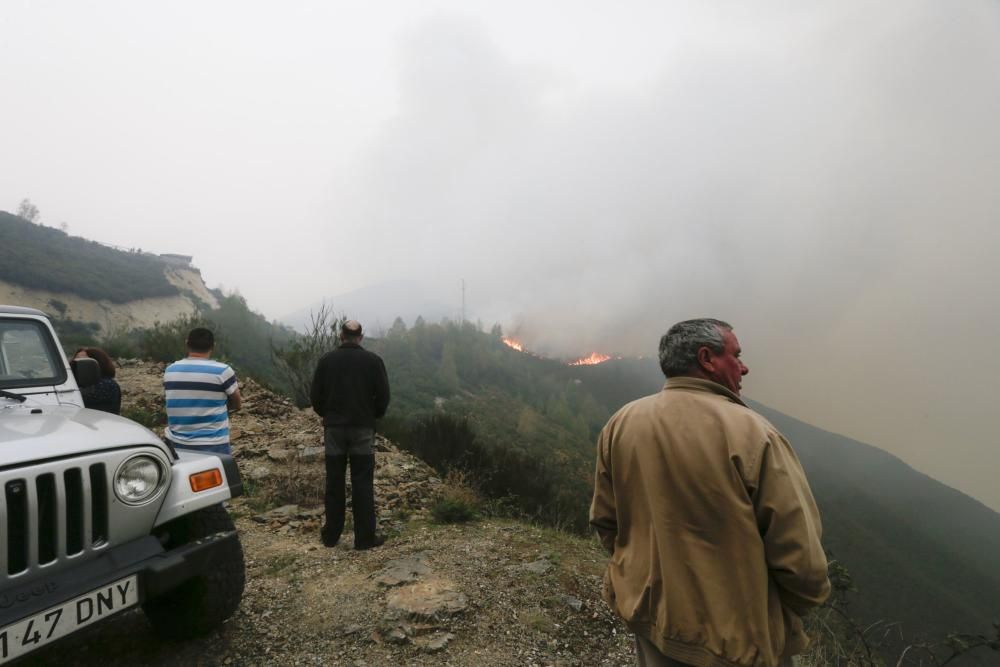 El suroccidente asturiano lucha contra las llamas