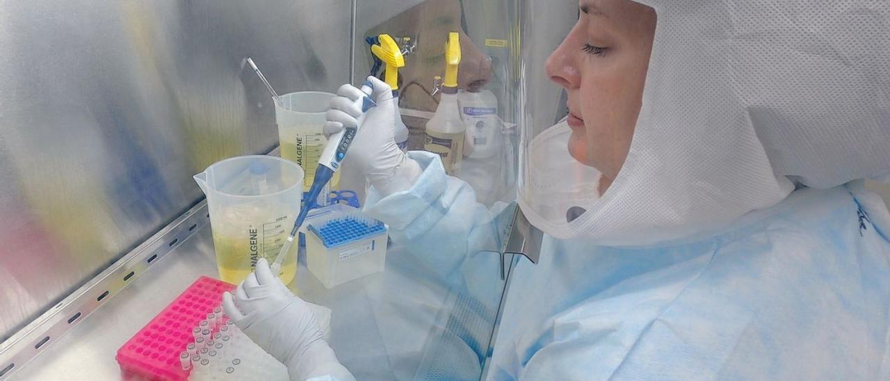 Una investigadora trabaja en un laboratorio microbiológico de biocontención.