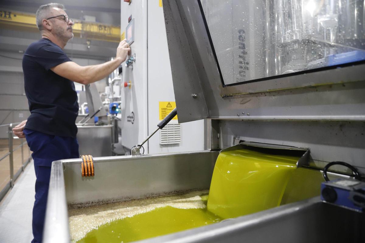 Trabajos en una almazara de la provincia de Córdoba.