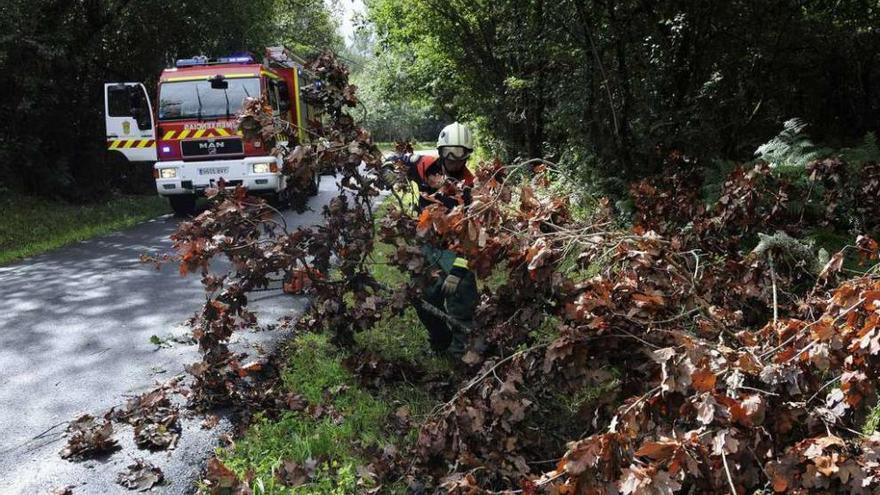Emerxencias de A Estrada, retirando un árbol caído durante el temporal de septiembre.// Bernabé / Javier Lalín
