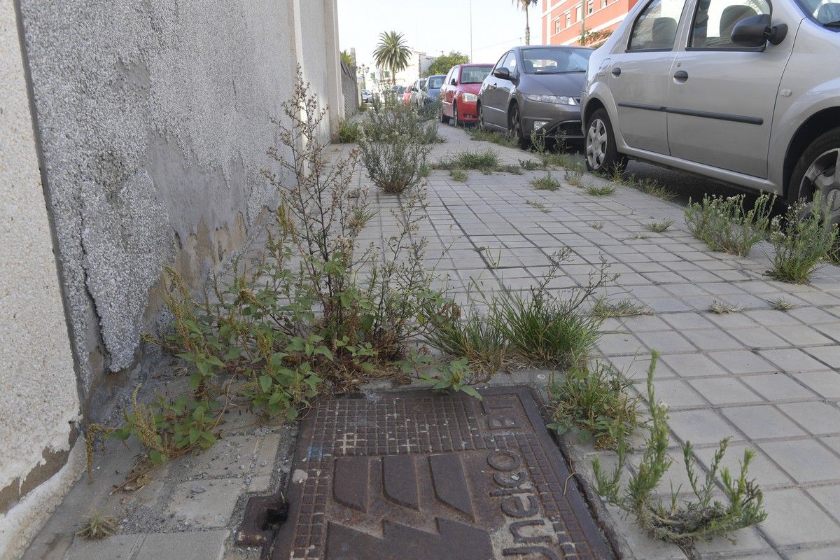 Hierbas en aceras de las calles de Escaleritas