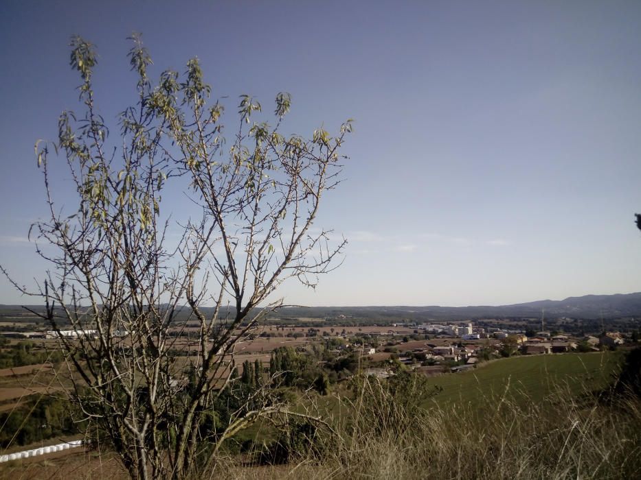 Moià. Imatge dels primers dies de tardor al municipi de Moià. Un dia serè en el qual es poden observar unes pinzellades de núvols prims.