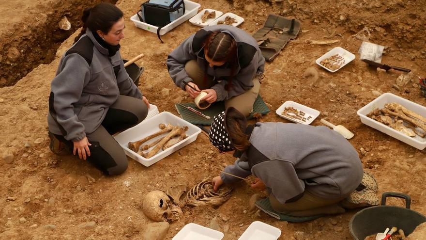 Hallan los restos de 14 represaliados en la fosa del cementerio de La Salud