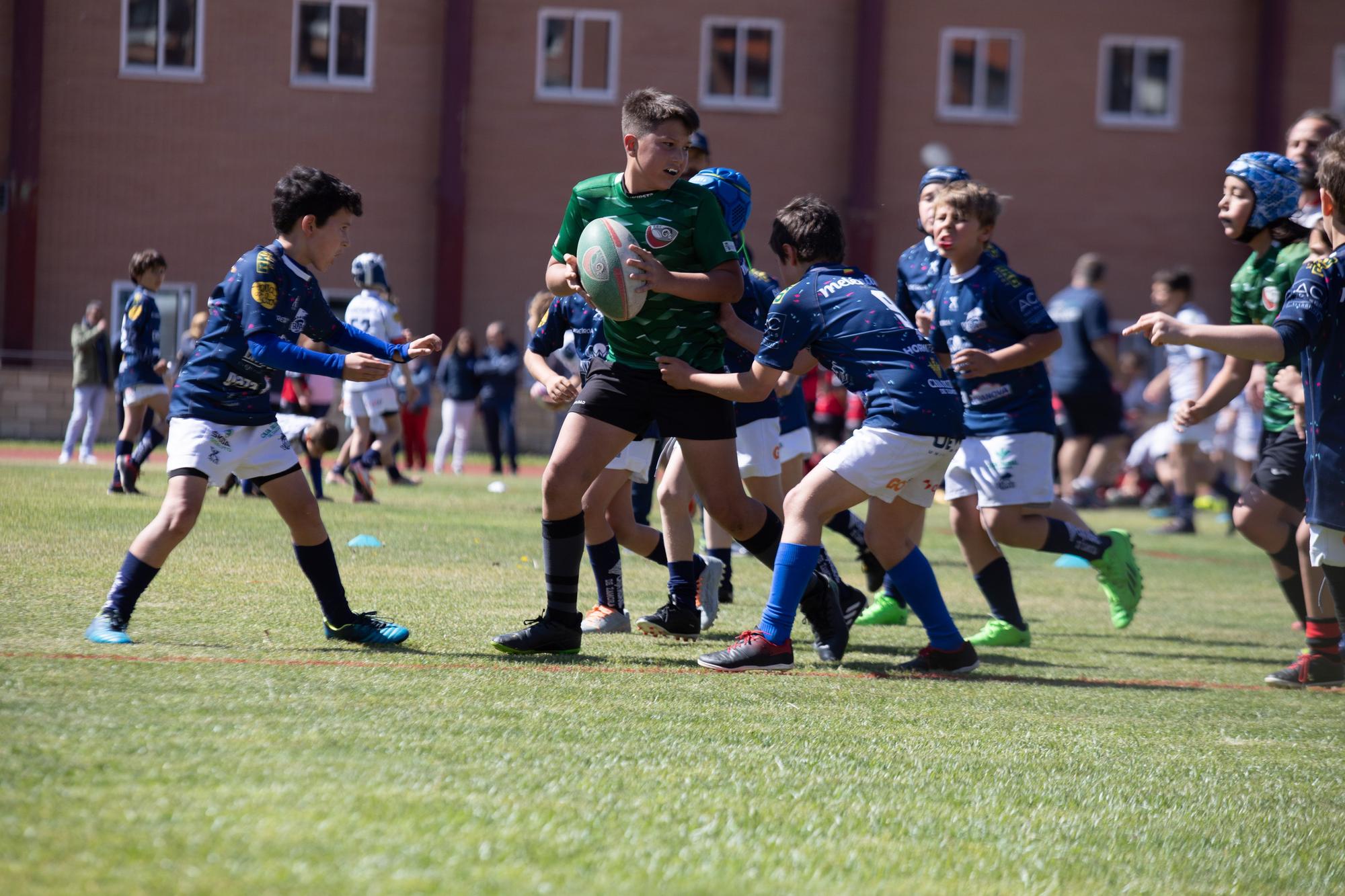 GALERÍA | El rugby más puro brilla con la "II Jornada de canteras Ciudad de Zamora"