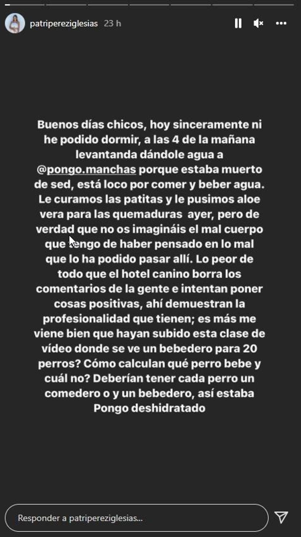 Patri Pérez vía Instagram stories cuenta todo sobre Pongo y la guardería