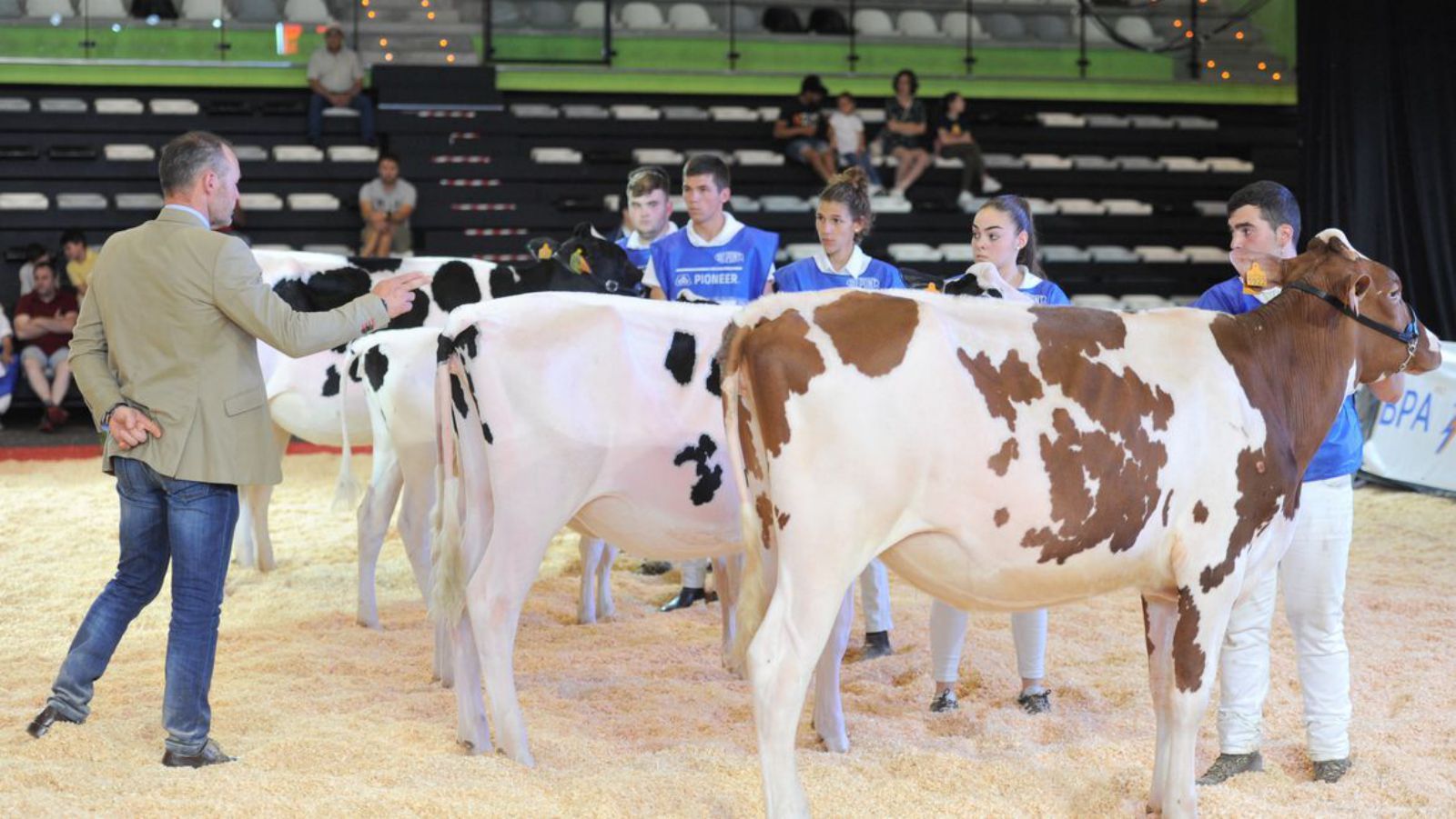 Concurso de jóvenes manejadores, ayer por la tarde.