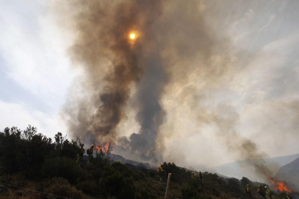 Incendio en los montes de León