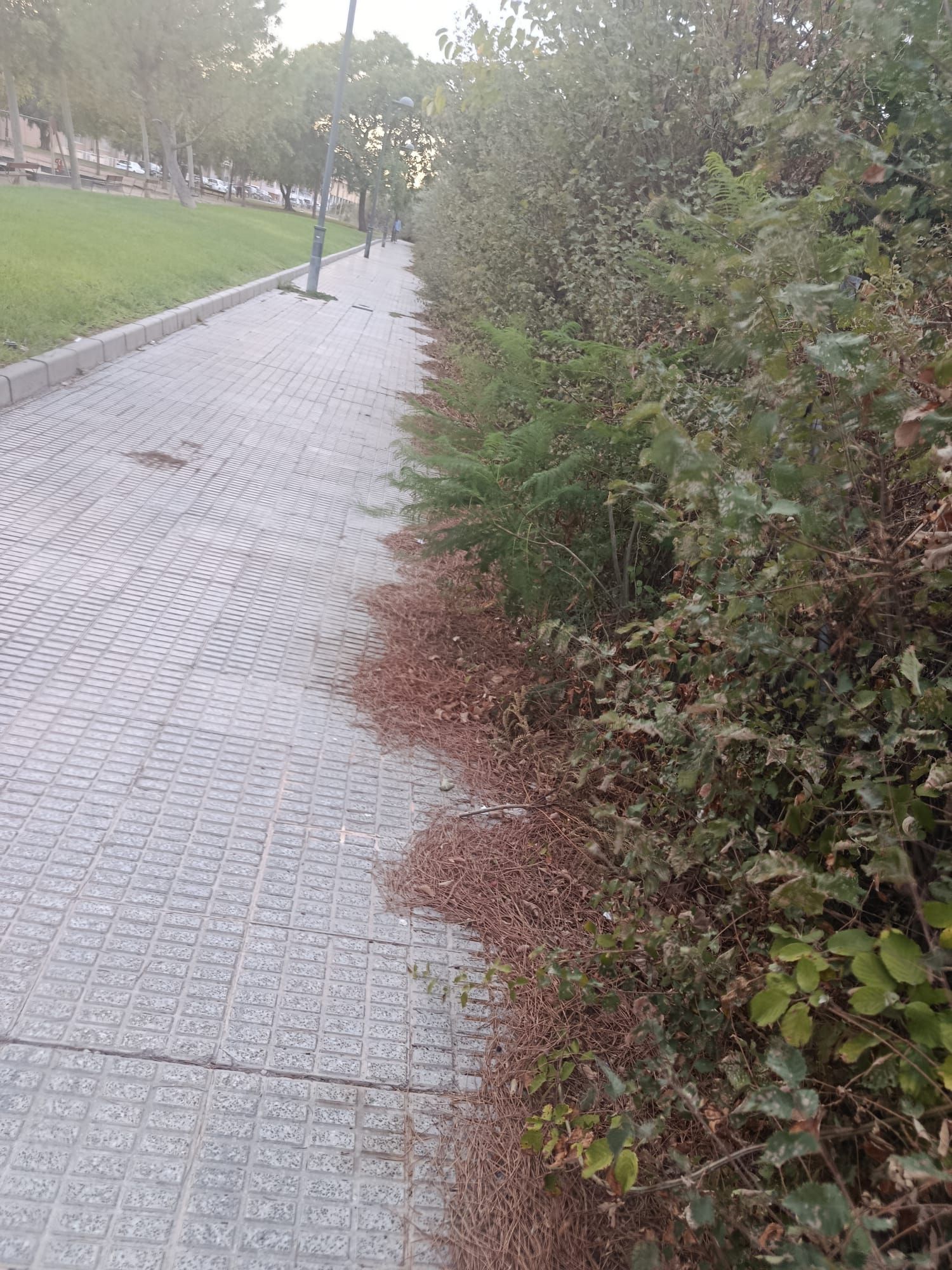 WhatsApp Image 2025-09-30 at 21.34.53 (5).jpeg