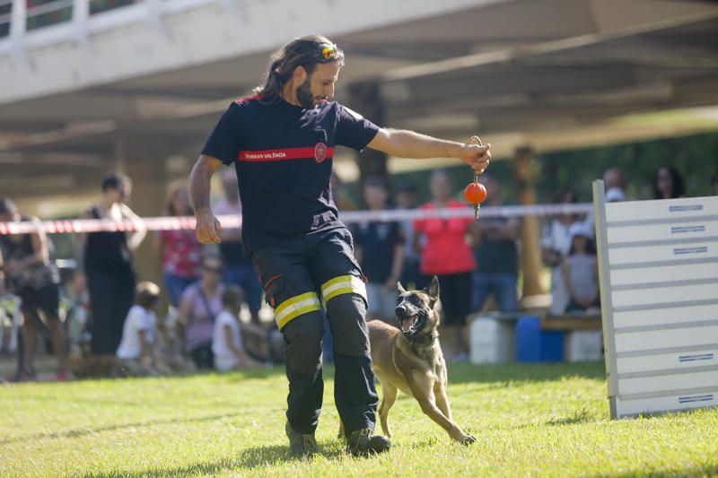 Feria Animalista en el cauce del Turia