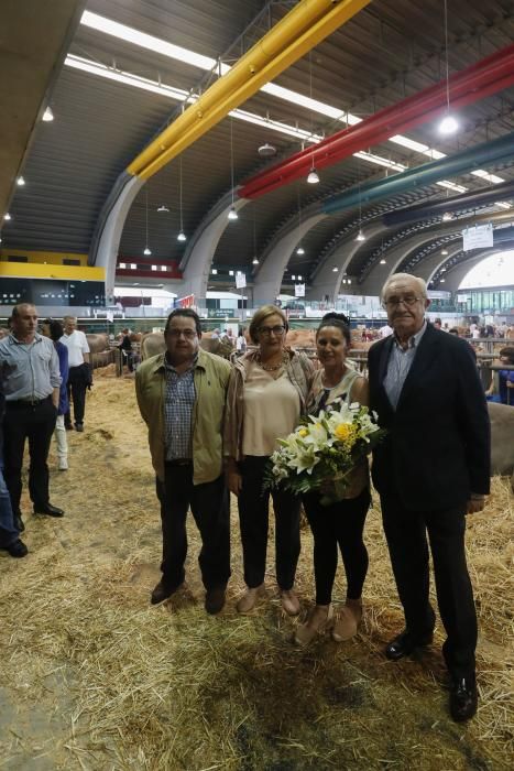 Certamen de ganado de San Agustín