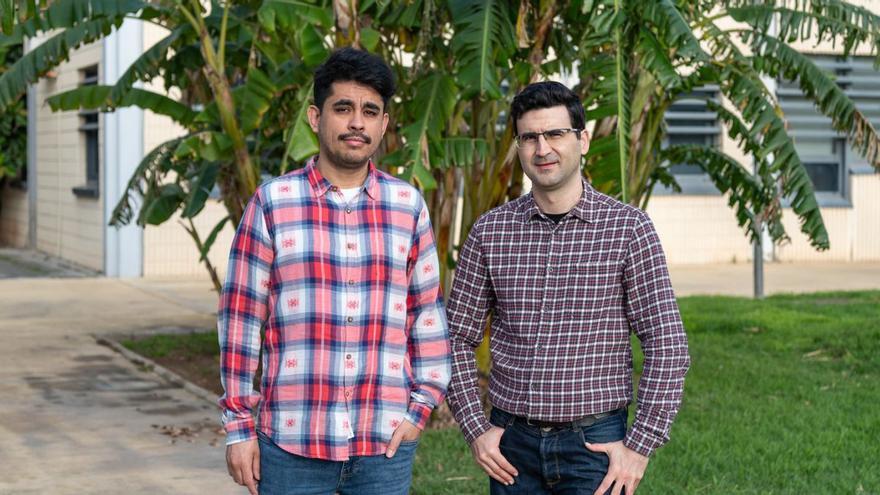 Los investigadores de la UPV. | LEVANTE-EMV