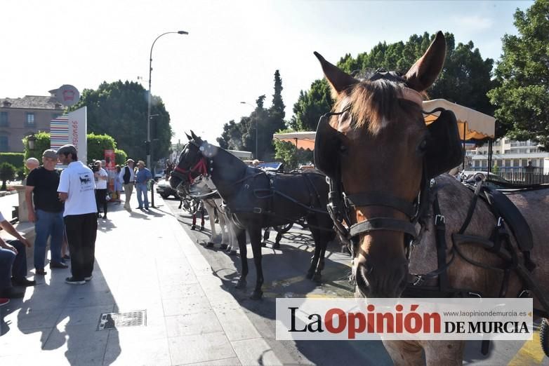 Ruta a caballo desde la ciudad al corazón de la hu