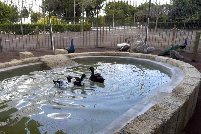 04-05-2016 TELDE. Nuevo espacio para aves en el parque de San Juan. Fotógrafo: ANDRES CRUZ