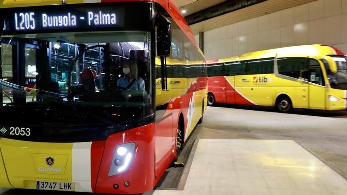 Die Tib-Busse auf Mallorca sind an der auffälligen rot-gelben Bemalung erkennbar.