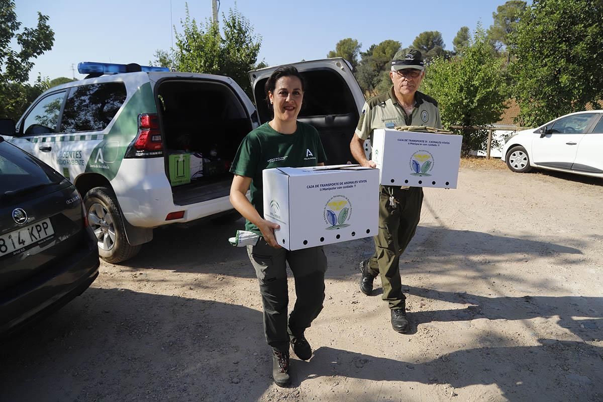 El Centro de recuperación de especies amenazadas de Córdoba, en imágenes