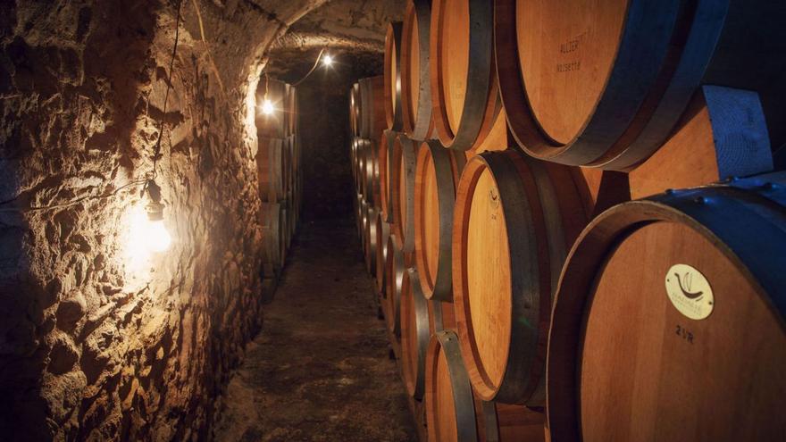 Celler Martí Fabra, tradició i expertesa vitícola a Sant Climent