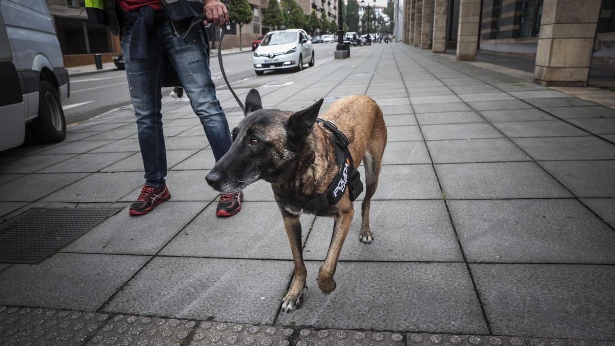 Amenaza de bomba en Oviedo: desalojan el Centro Cívico y acordonan la zona