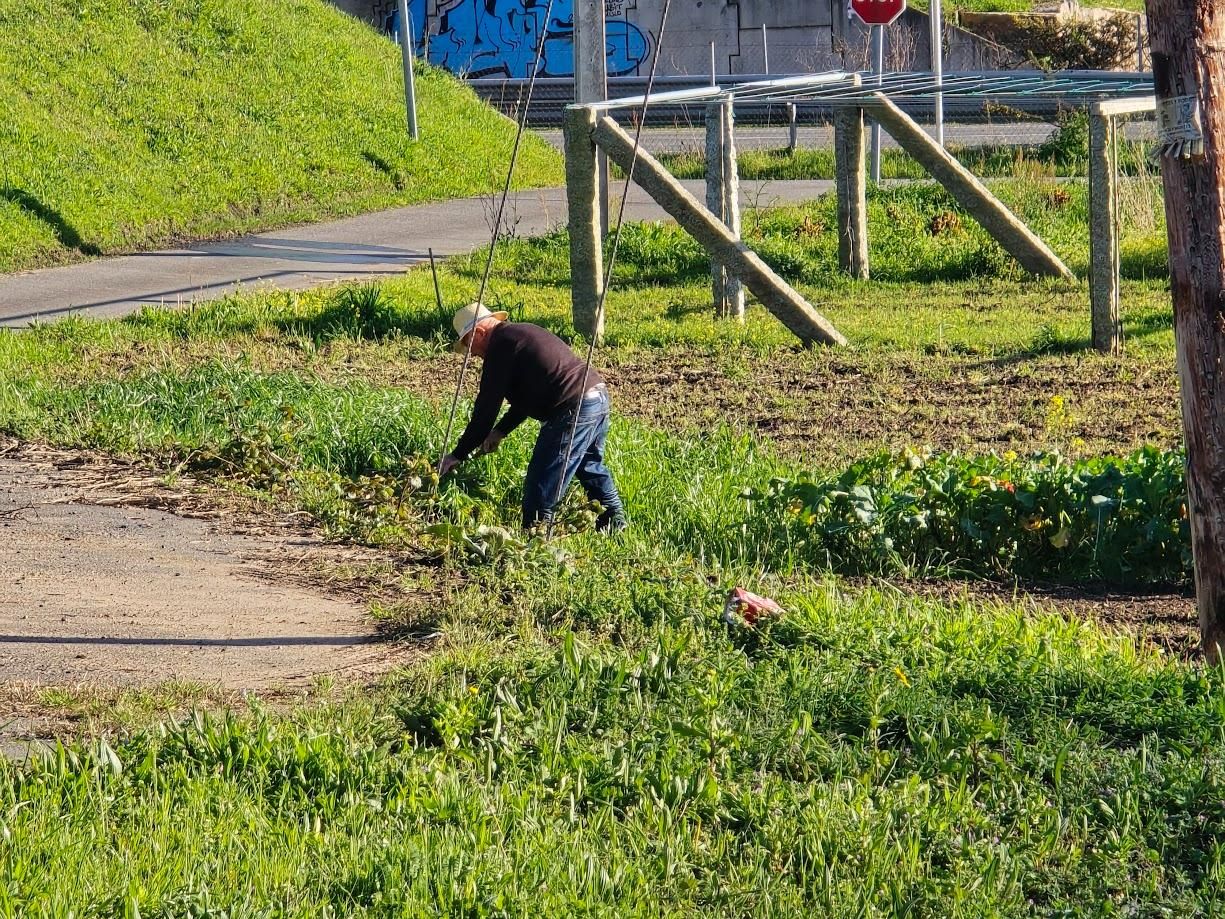 Arousanos aprovechando el buen tiempo para preparar sus tierras de cultivo.